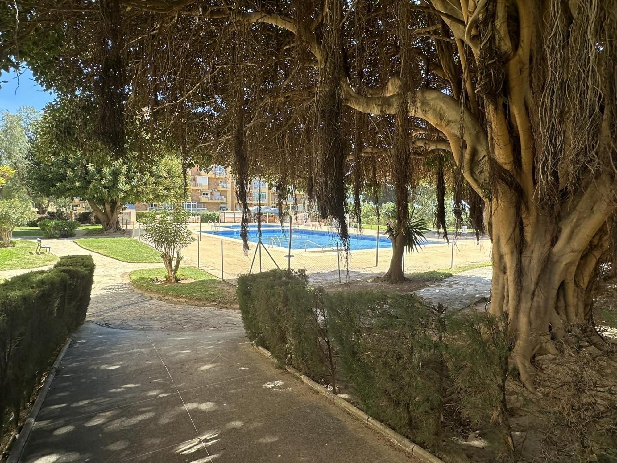Estudio Agata Con Piscina A 800M De La Playa Benalmadena Ngoại thất bức ảnh